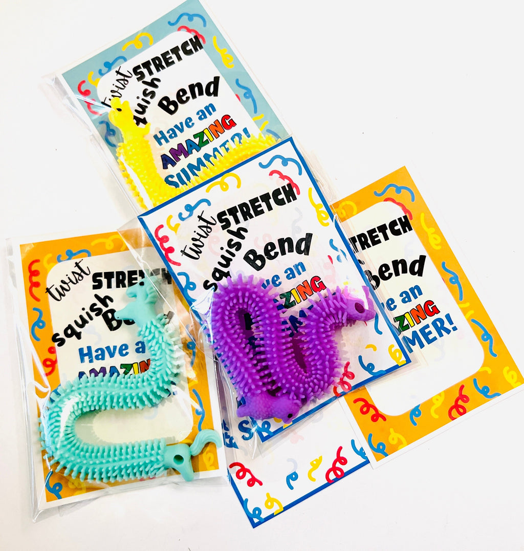 End of Year Gift, End of School Class Gifts for Students/Strechy string toys /Teacher Gifts for Students, Last Day of School Party Favors