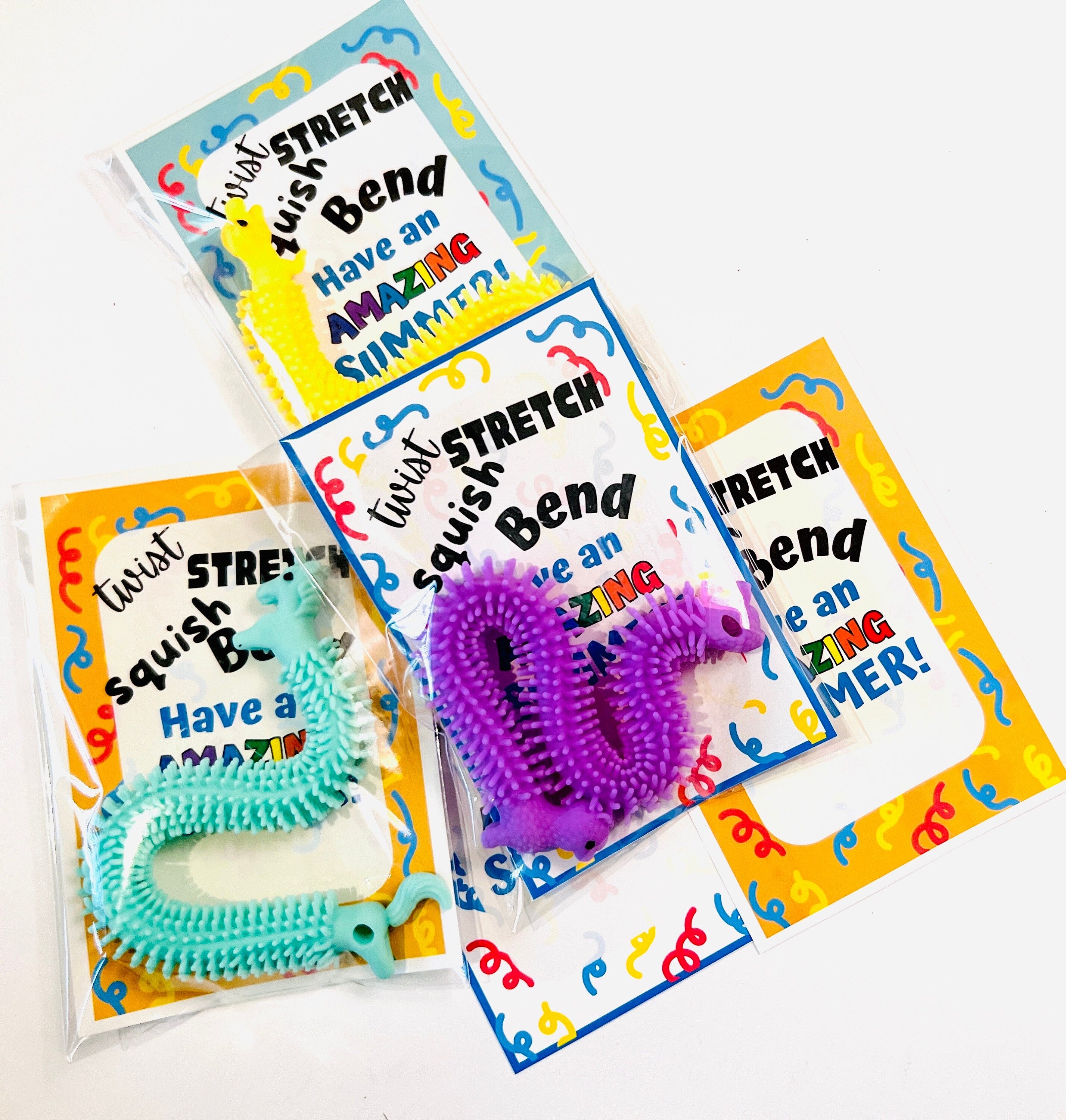 End of Year Gift, End of School Class Gifts for Students/Strechy string toys /Teacher Gifts for Students, Last Day of School Party Favors