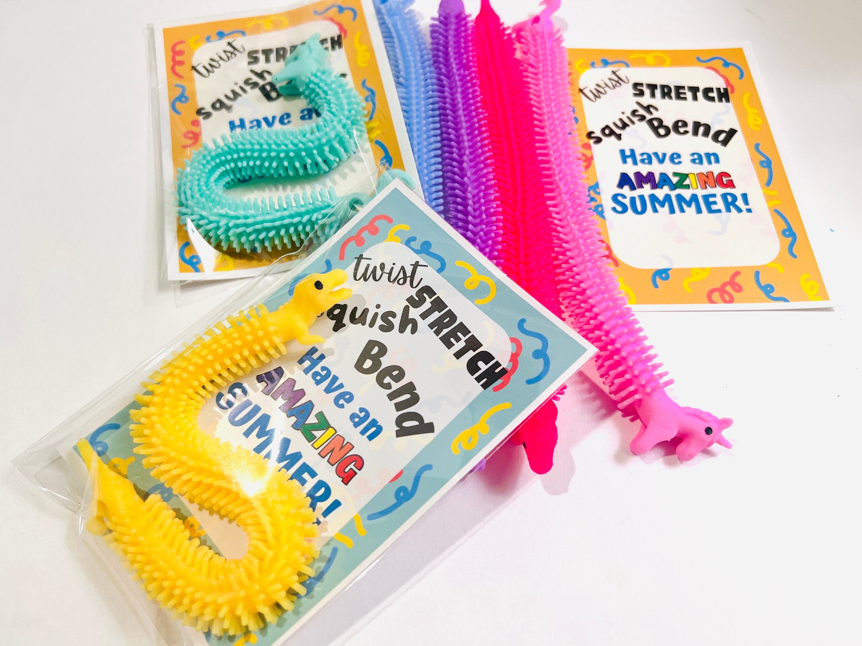 End of Year Gift, End of School Class Gifts for Students/Strechy string toys /Teacher Gifts for Students, Last Day of School Party Favors