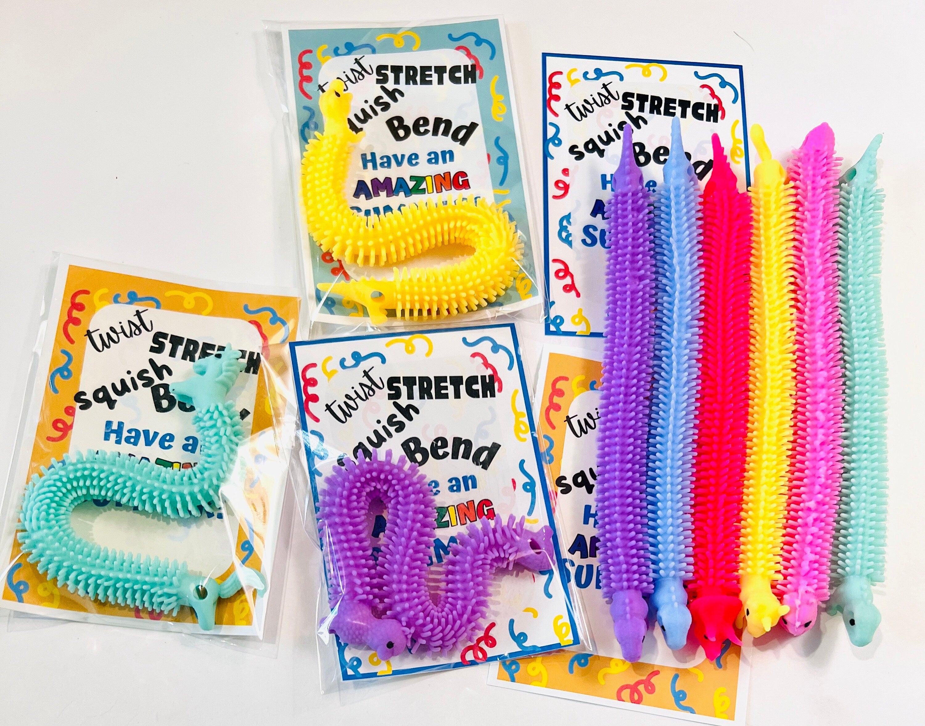 End of Year Gift, End of School Class Gifts for Students/Strechy string toys /Teacher Gifts for Students, Last Day of School Party Favors