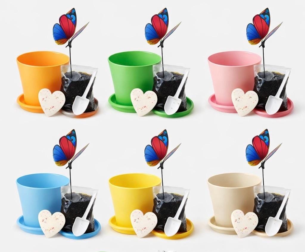 Mini Plant Garden Kit for Kids | DIY Plant Growing Kit | Kids Garden Party Favor | Classroom Activity | Spring Craft Gift