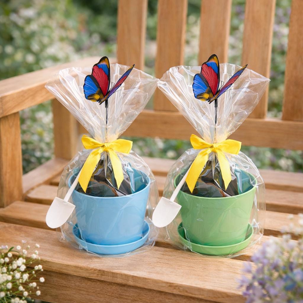 Mini Plant Garden Kit for Kids | DIY Plant Growing Kit | Kids Garden Party Favor | Classroom Activity | Spring Craft Gift